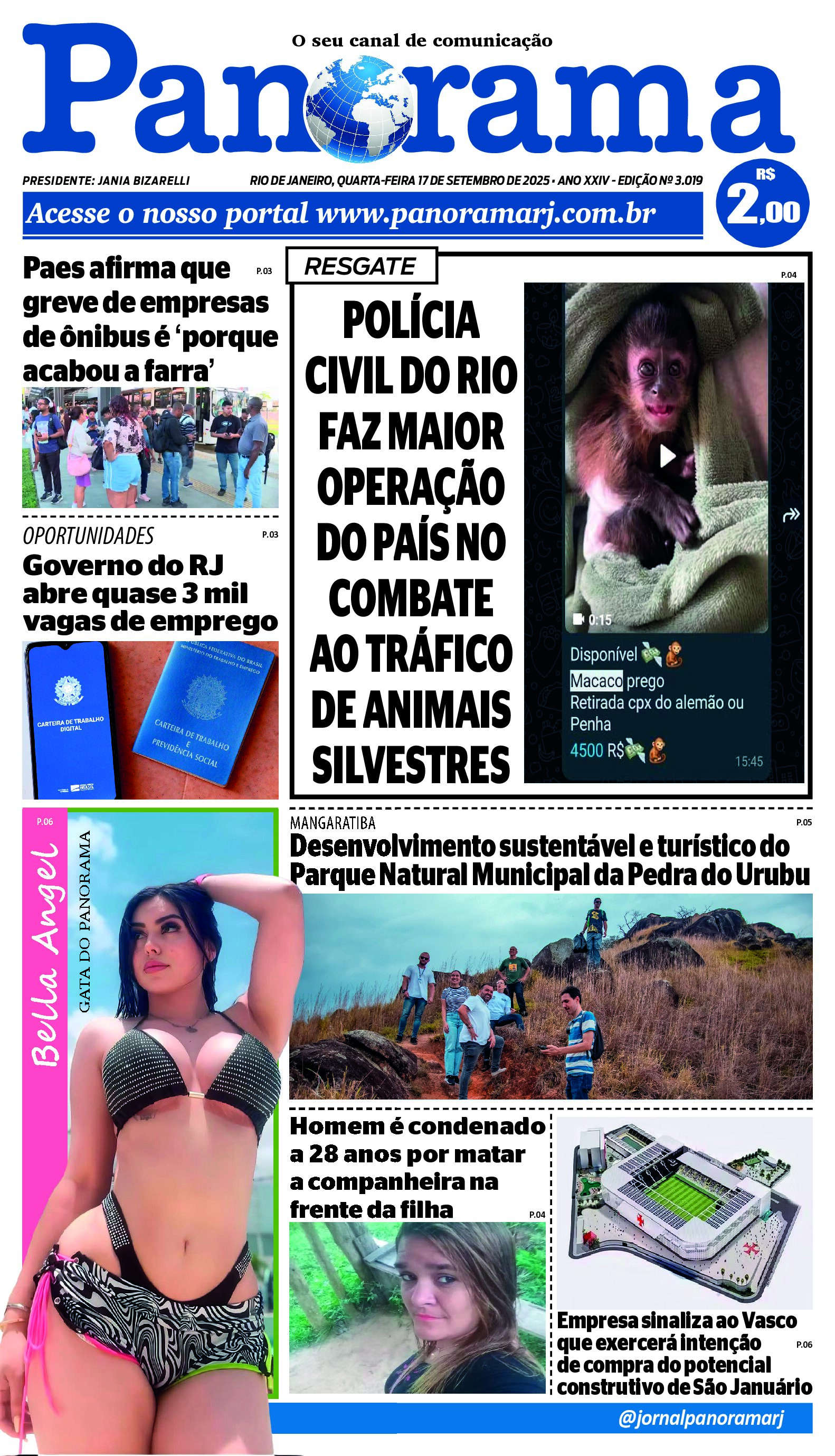 Pré-visualização do PDF