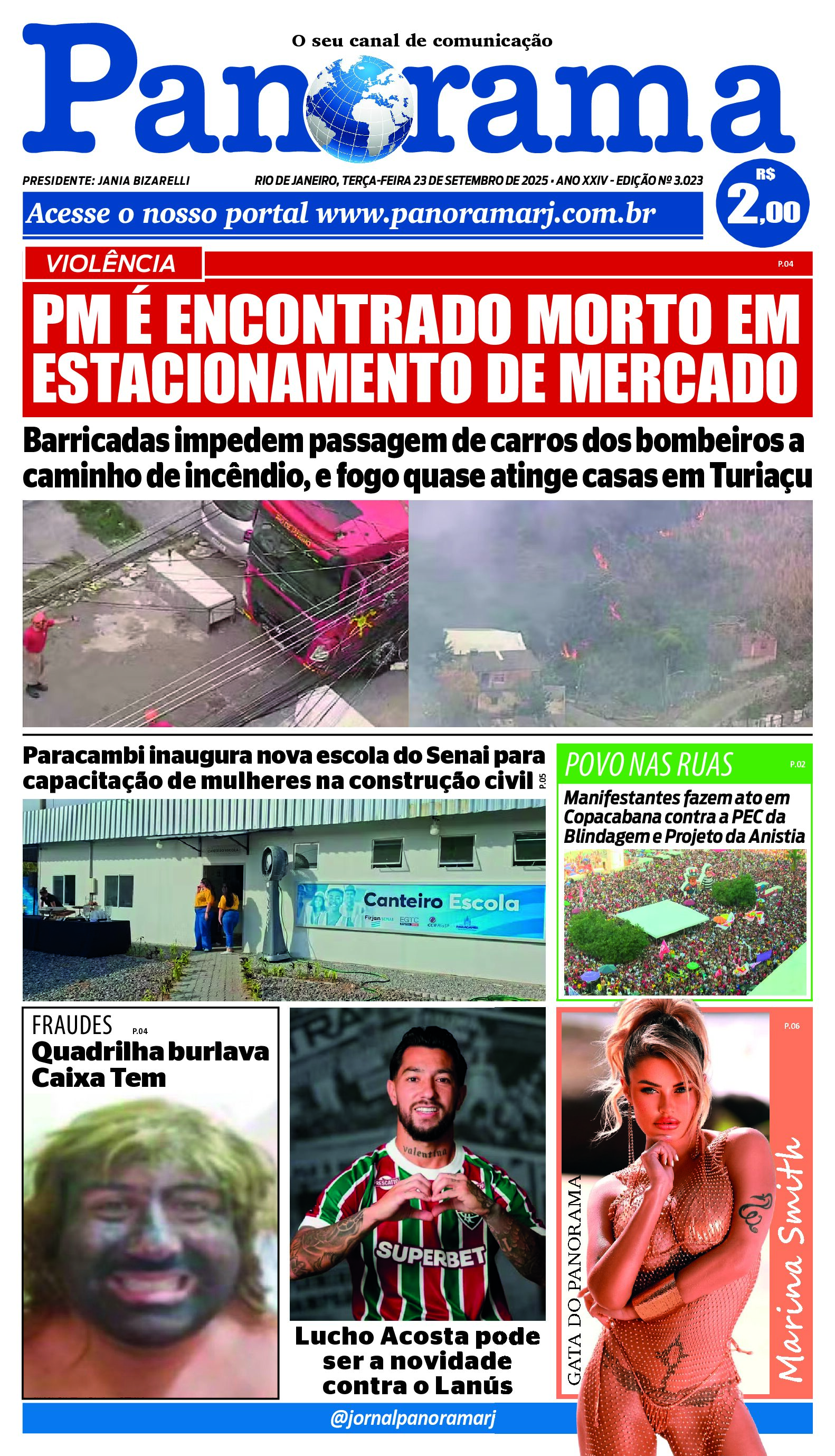 Pré-visualização do PDF