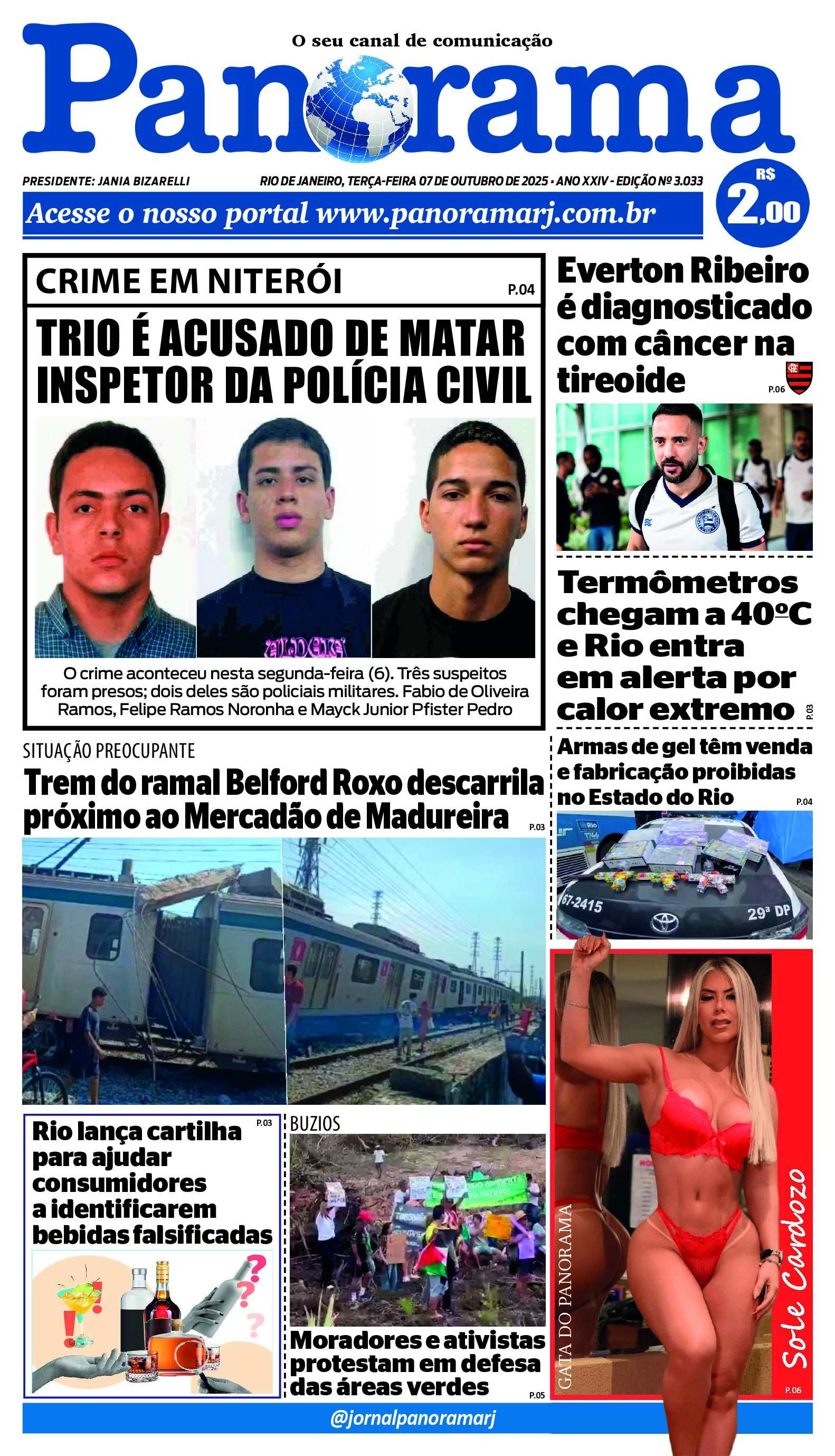 Pré-visualização do PDF