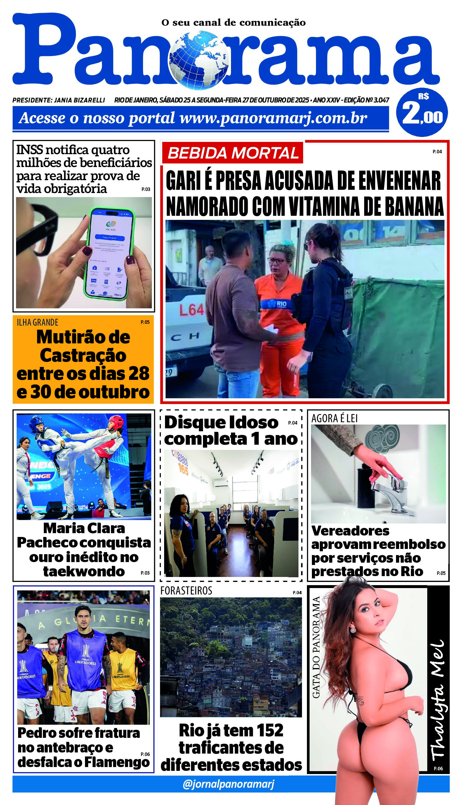 Pré-visualização do PDF