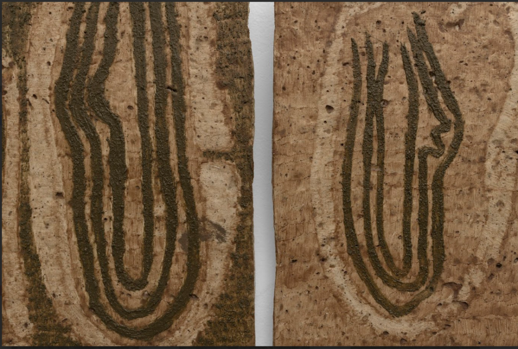 onde a língua goteja pedra