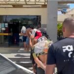 Justiça determinou internação de adolescentes por ataque a capivara na Ilha