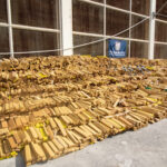 PM apreende quase 50 toneladas de maconha na Maré, maior operação do tipo no país