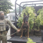 Operação conjunta mira facções aliadas em Realengo e prende suspeitos