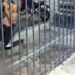 Torcedores são espancados após clássico entre Flamengo e Vasco da Gama no entorno do Maracanã
