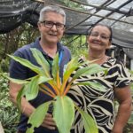 Cultivo de plantas ornamentais floresce como fonte de renda em Pedra Lisa, em Japeri