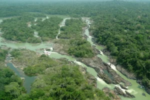 Câmara aprova projeto que reduz área de proteção na Amazônia e gera reação de governistas e ambientalistas