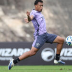 Botafogo terá retorno de jogadores emprestados, mas permanência é incerta