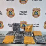 Mulher é detida com cerca de 10 kg de maconha no Aeroporto do Galeão
