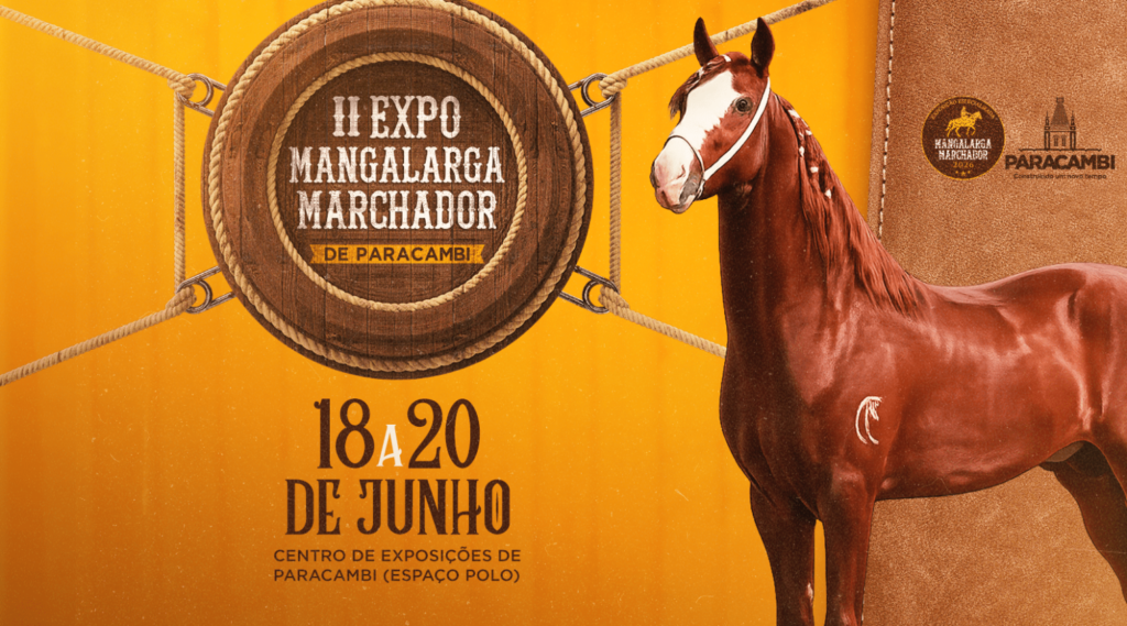 Paracambi recebe 2ª Exposição de Mangalarga Marchador com shows, gastronomia e atrações para toda a família