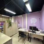 Delegacia da Ilha cria programa de apoio para mulheres vítimas de violência doméstica