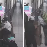 Criminosos furtam mais de 50 perucas de cabelo humano de loja em Madureira e causam prejuízo de R$ 70 mil
