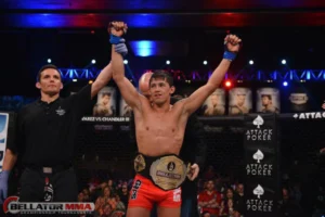 Ex-campeão mundial de MMA assume presidência de federação sul-americana de jiu-jítsu