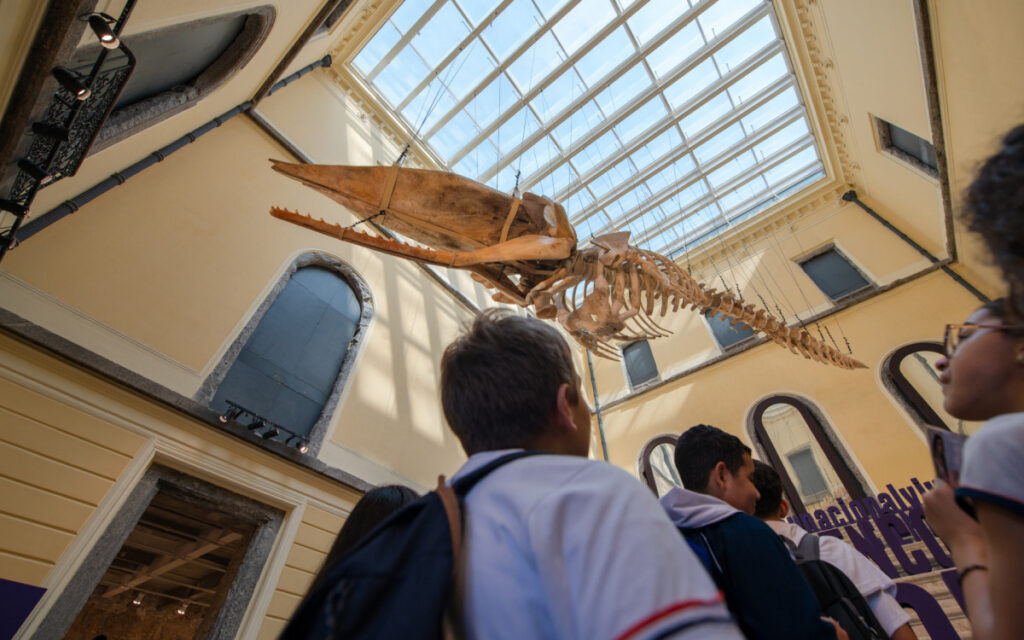 Museu Nacional prorroga exposições gratuitas até 25 de outubro