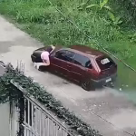 Homem é preso por tentativa de feminicídio após atropelar companheira em Campo Grande
