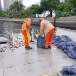 Mais de cinco toneladas de peixes mortos são retiradas da Baía de Guanabara